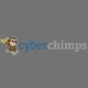 cyberchimps coupon codes